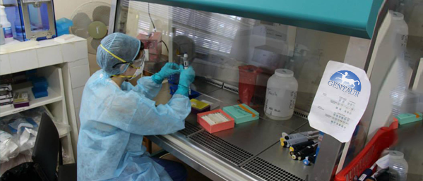 Ebola antibodies, Ebola elisa kits and diagnostic equipment